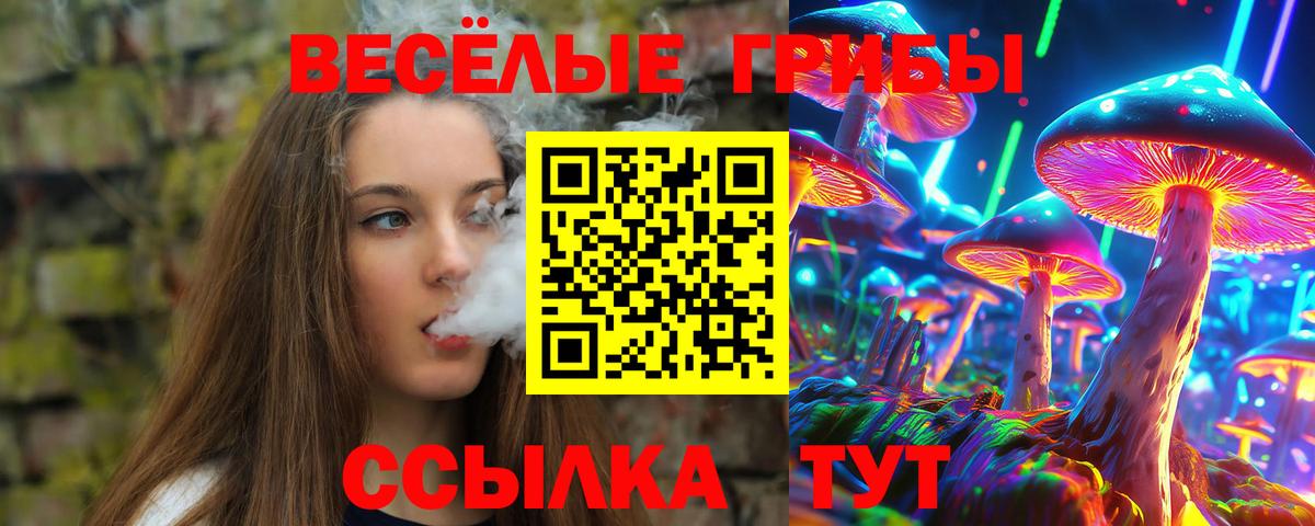 Псилоцибиновые грибы мухоморы  Вход с VPN  Королёв 