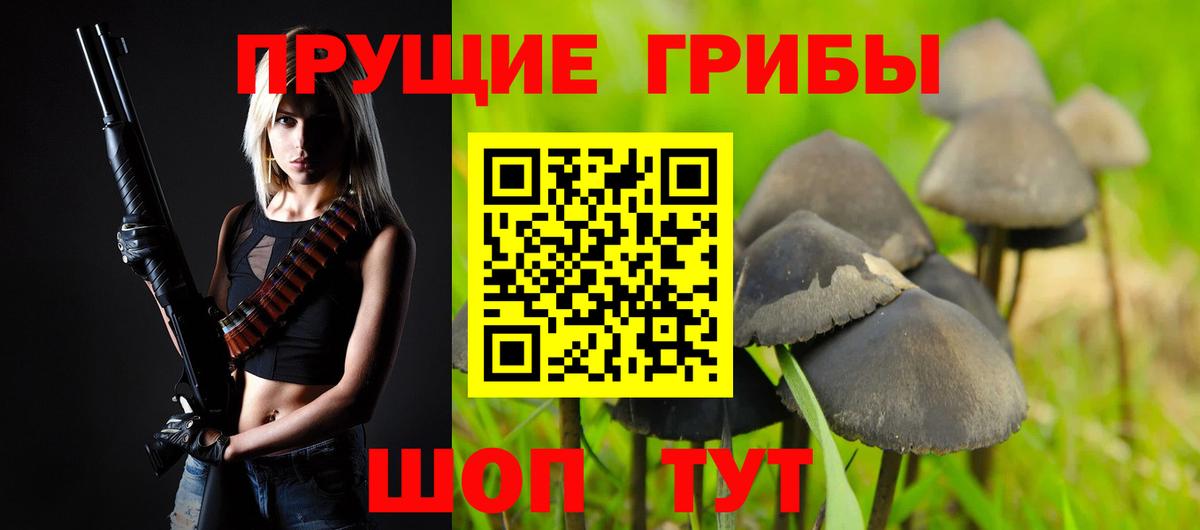 Псилоцибиновые грибы GOLDEN TEACHER Королёв